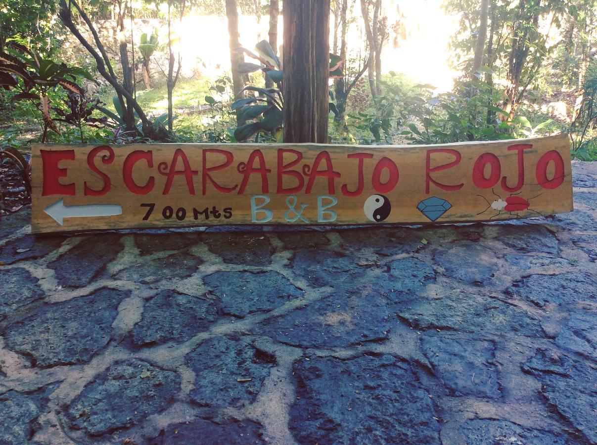 Escarabajo Rojo Bed & Breakfast Tulum Exterior foto